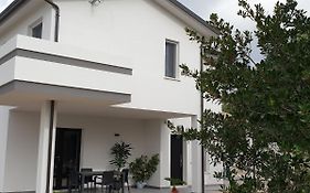 B&B Juniperus